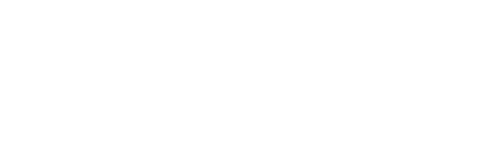 Evolve P+D logo white
