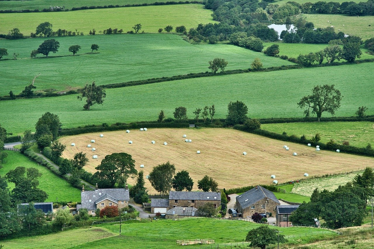 Read more about the article What is Farm Diversification?
